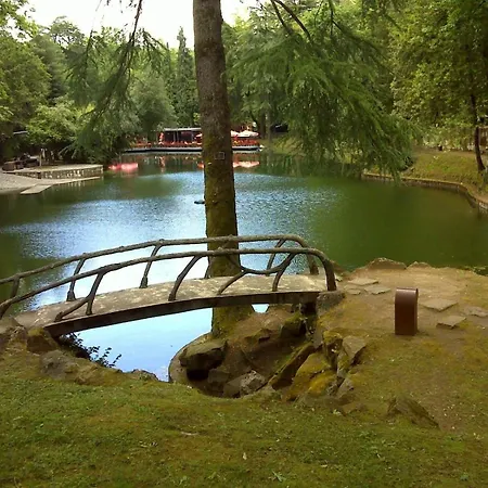 Dom 호텔 브라가