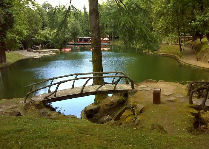 Dom فندق براغا